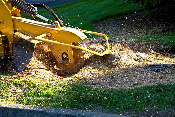 Lawn Grading and Leveling in Coopersville, MI